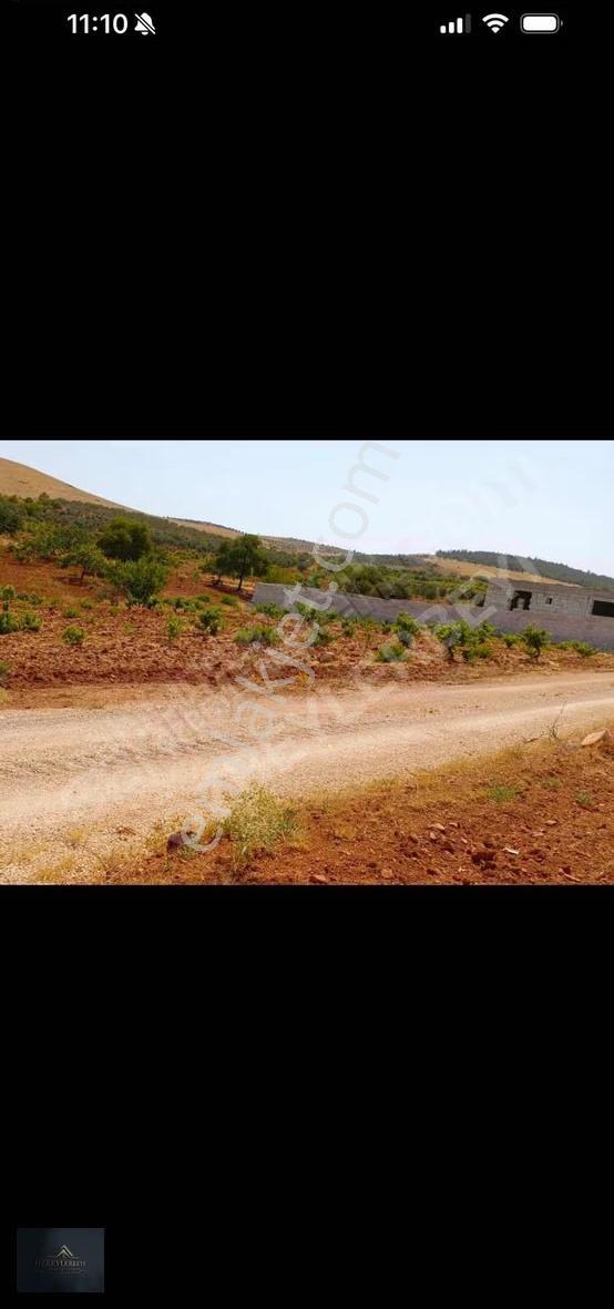 Suboğaz Sınırı Satlık Küçük Parça - Görsel 9