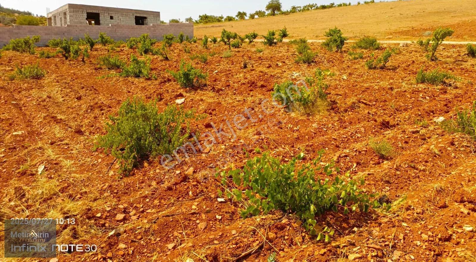 Suboğaz Sınırı Satlık Küçük Parça - Görsel 17