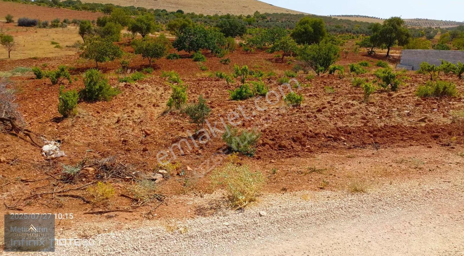 Suboğaz Sınırı Satlık Küçük Parça - Görsel 16