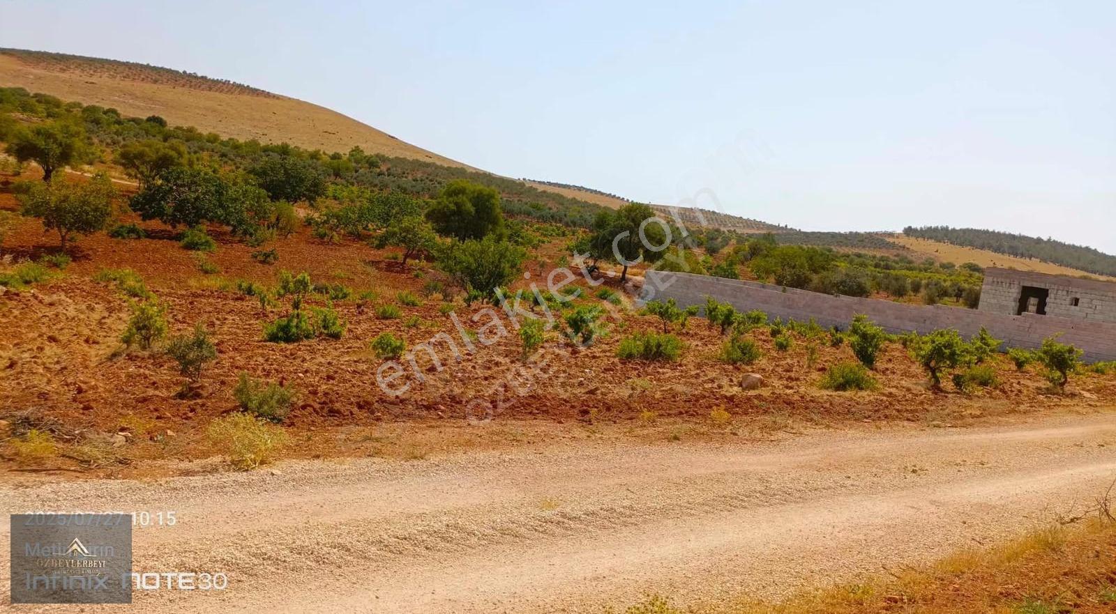 Suboğaz Sınırı Satlık Küçük Parça - Görsel 10