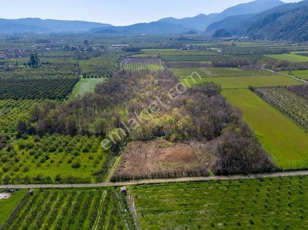 Muğla Ortaca Da Satılık 12 Dönüm Tarla Ve Dubleks Billa - Görsel 12