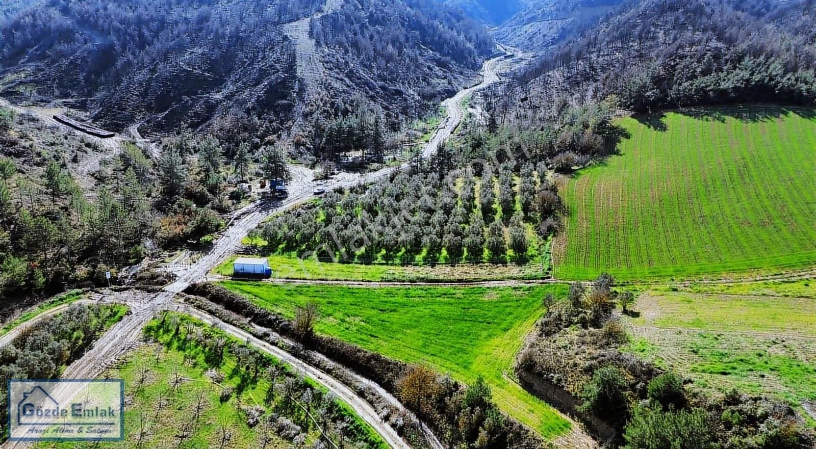 Bayat Mh Resmi Yollu Arazi Ve Konteyner Düz Zemin - Görsel 26