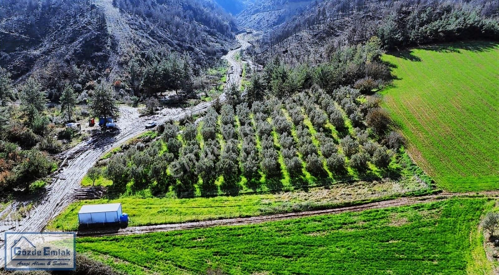 Bayat Mh Resmi Yollu Arazi Ve Konteyner Düz Zemin - Görsel 22