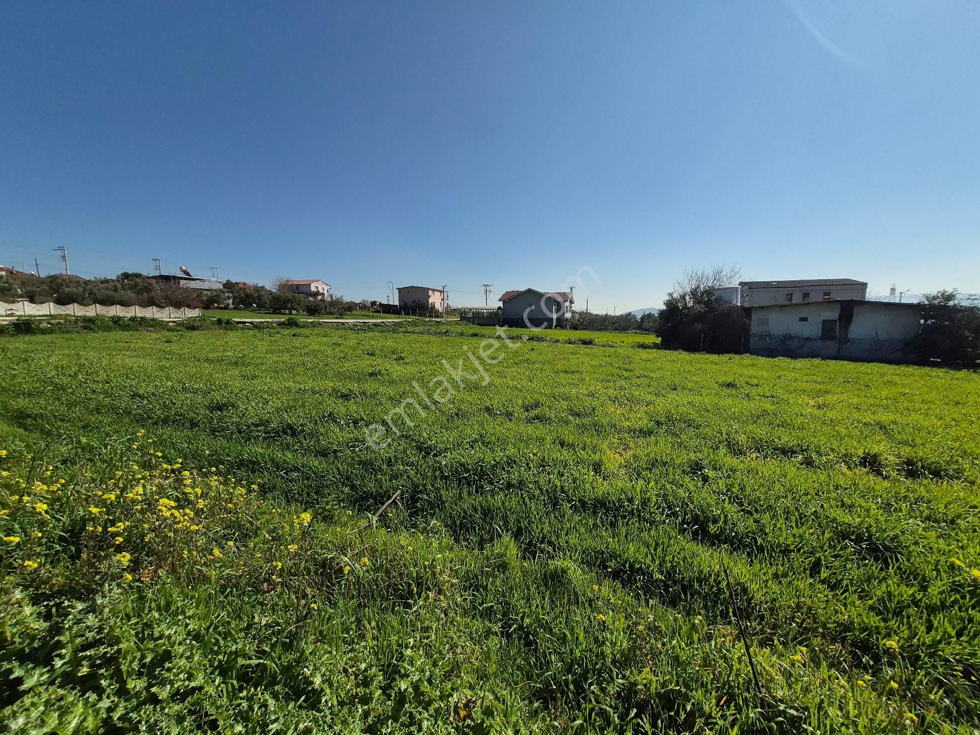 Menderes Tekeli Tek Tapu İmarlı Resmi Villa - Görsel 14