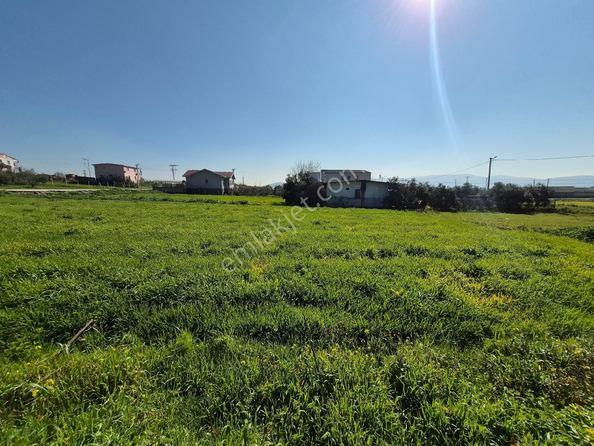 Menderes Tekeli Tek Tapu İmarlı Resmi Villa - Görsel 3