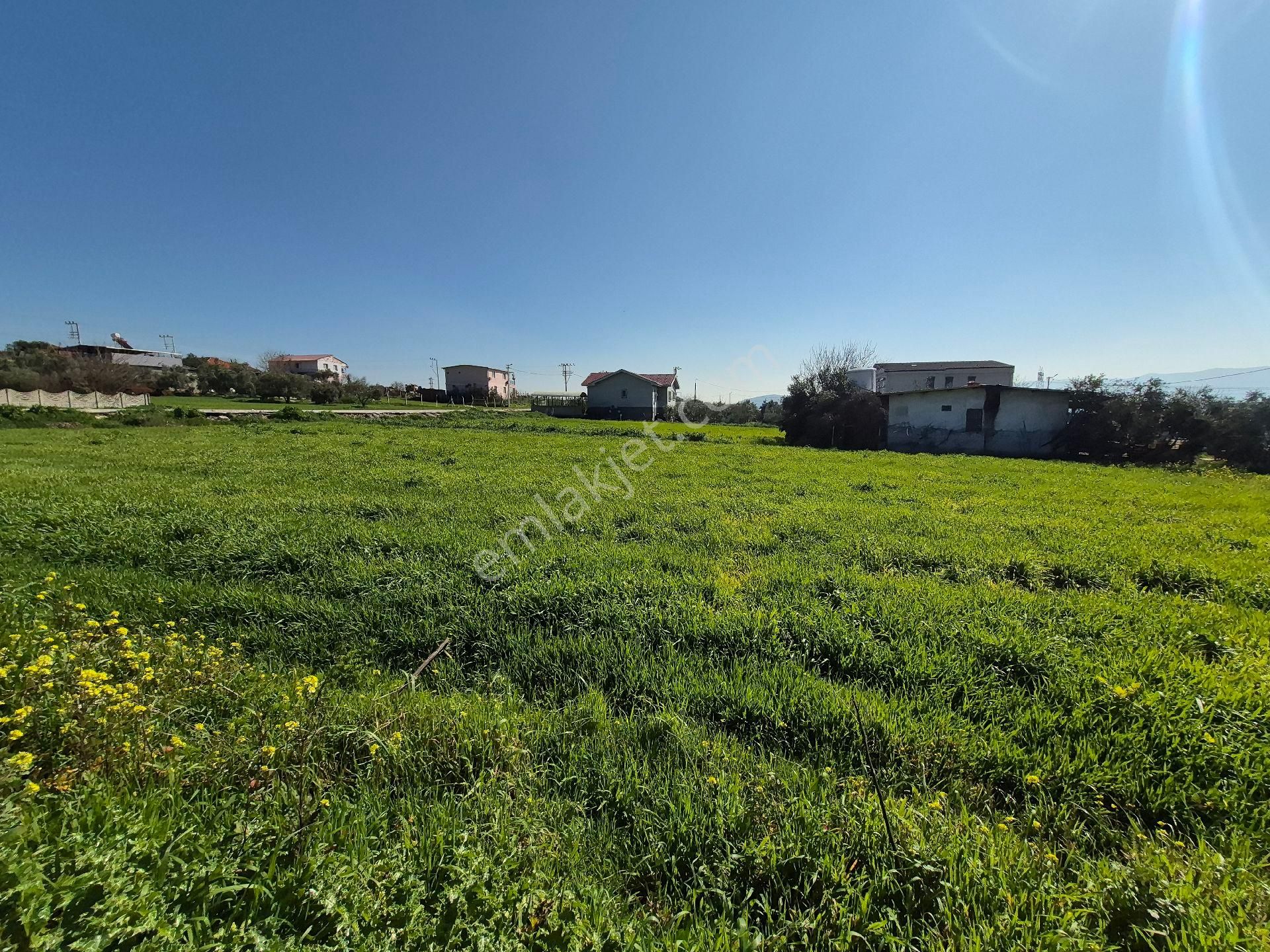 Menderes Tekeli Tek Tapu İmarlı Resmi Villa - Görsel 16