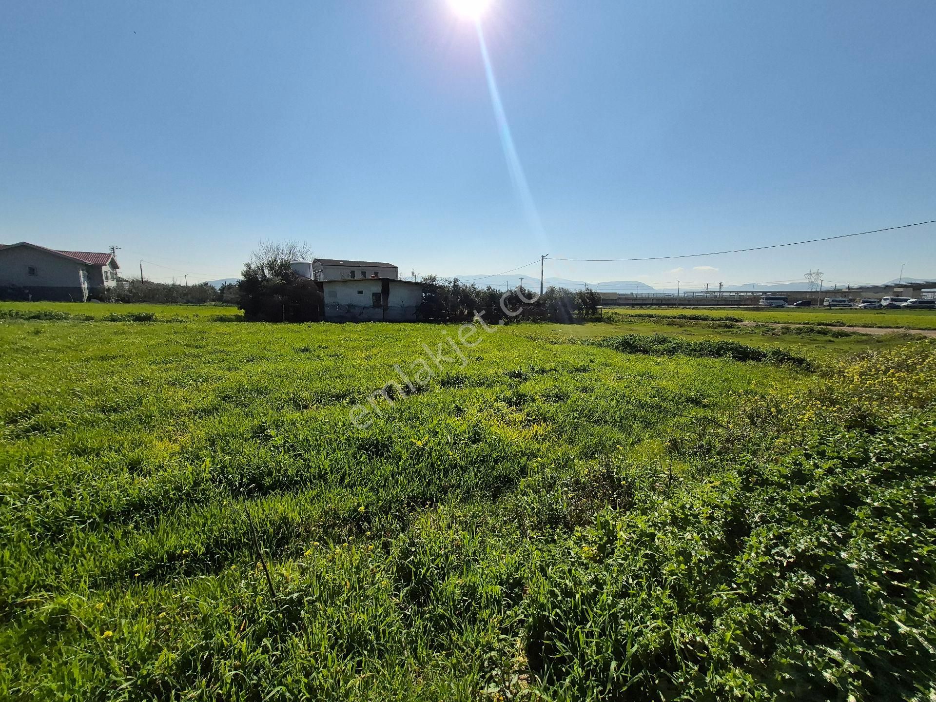 Menderes Tekeli Tek Tapu İmarlı Resmi Villa - Görsel 11