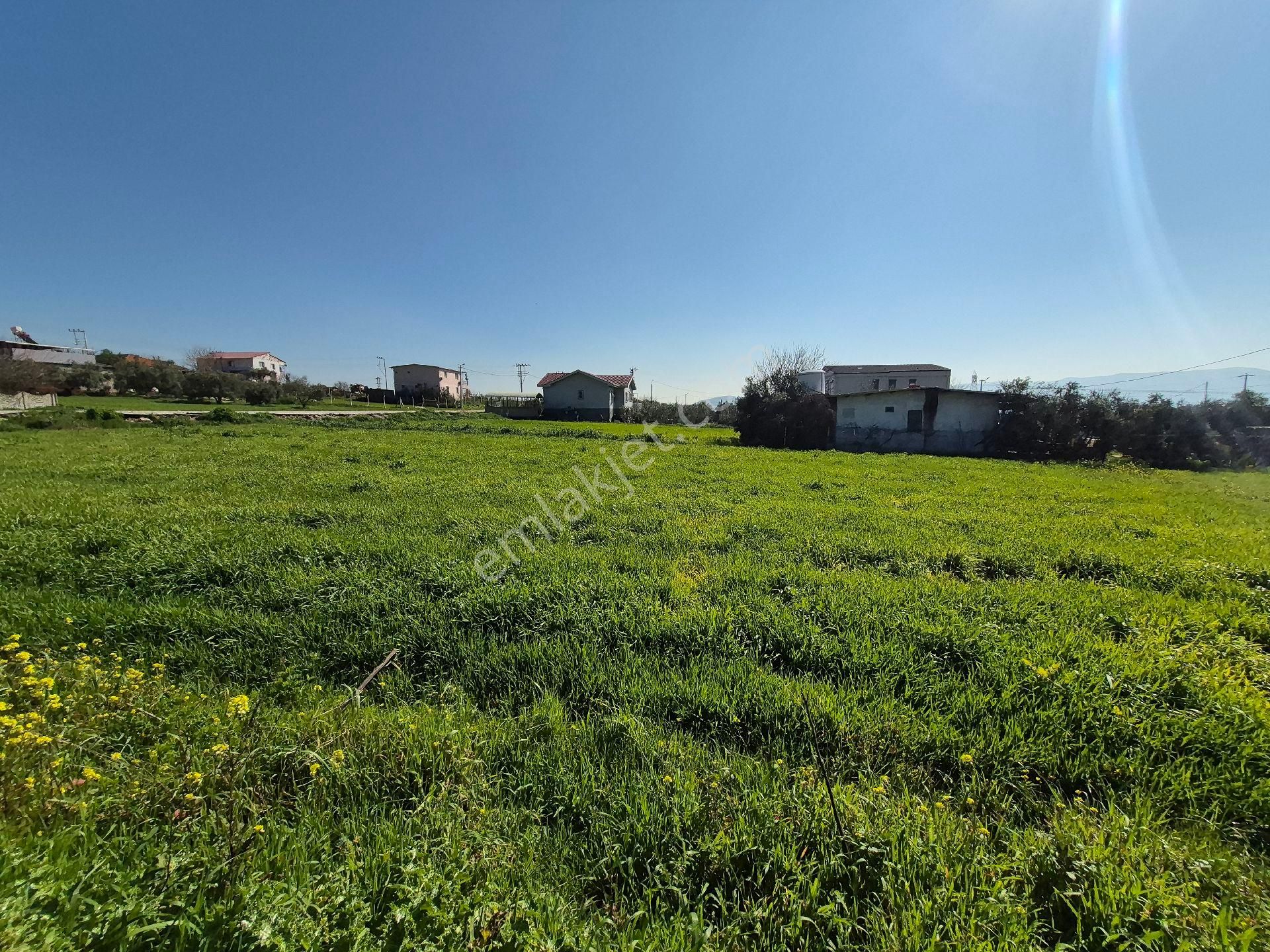 Menderes Tekeli Tek Tapu İmarlı Resmi Villa - Görsel 15