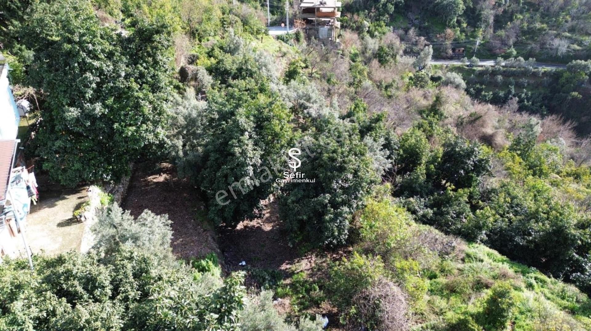 Alanya Kızılcaşehir'de Satılık 215 Mt2 Tarla - Görsel 14