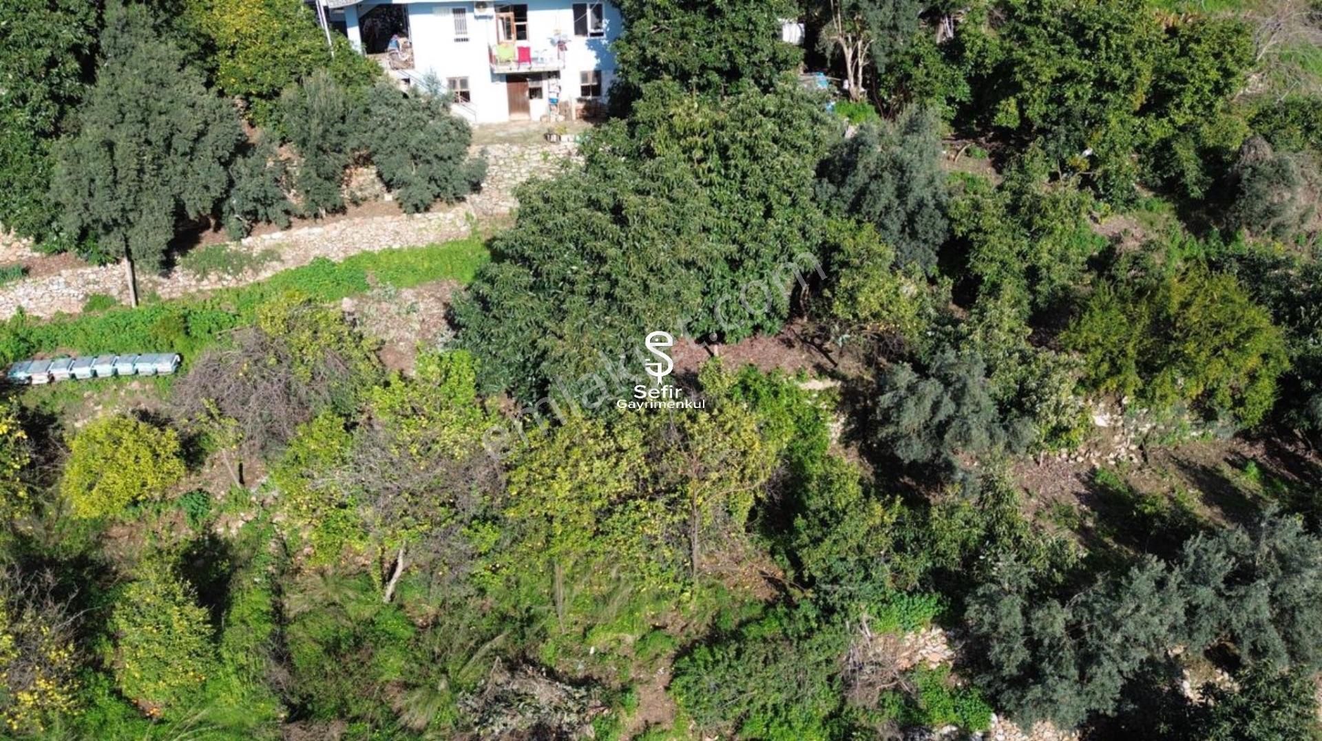 Alanya Kızılcaşehir'de Satılık 215 Mt2 Tarla - Görsel 11