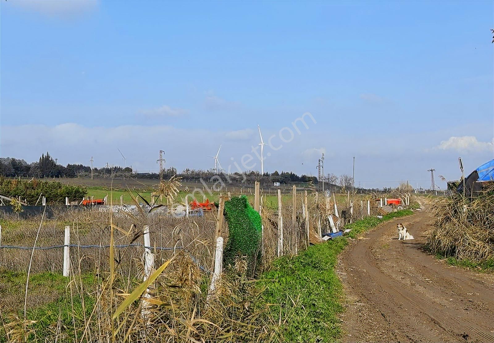 Akyol Gayrimenkul'den Büyükkılıçlı Köyünde 1623 M2 Çaplı Arsa - Görsel 24