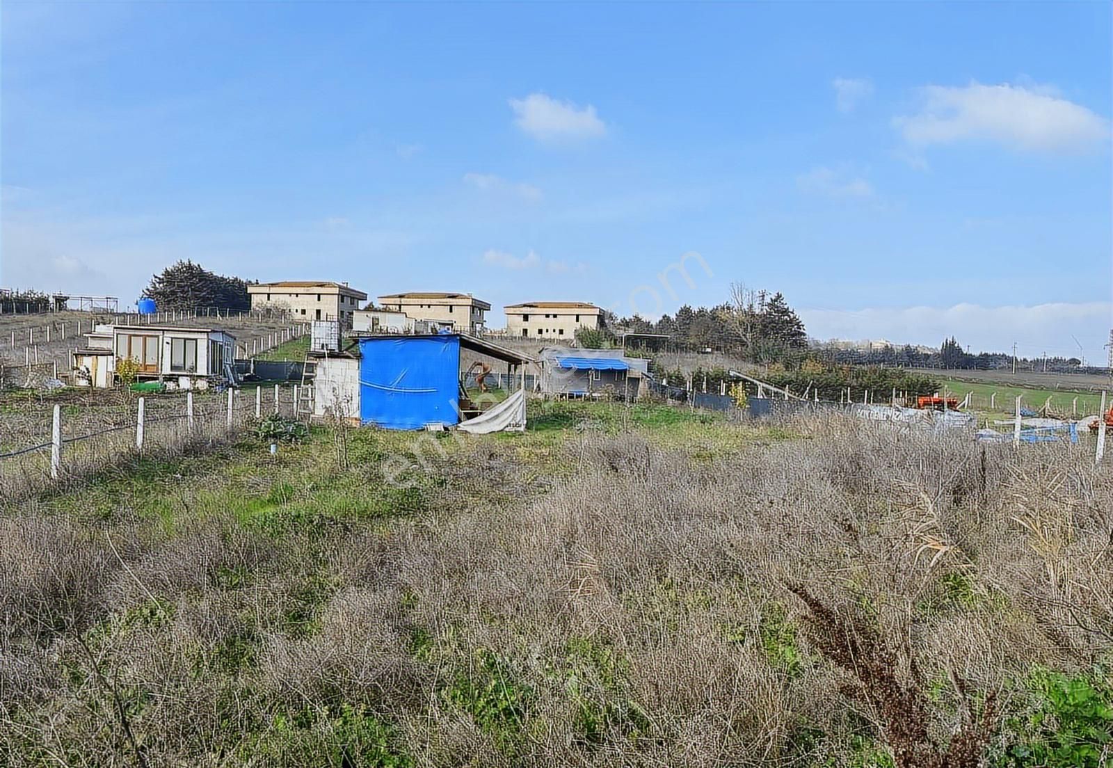 Akyol Gayrimenkul'den Büyükkılıçlı Köyünde 1623 M2 Çaplı Arsa - Görsel 28