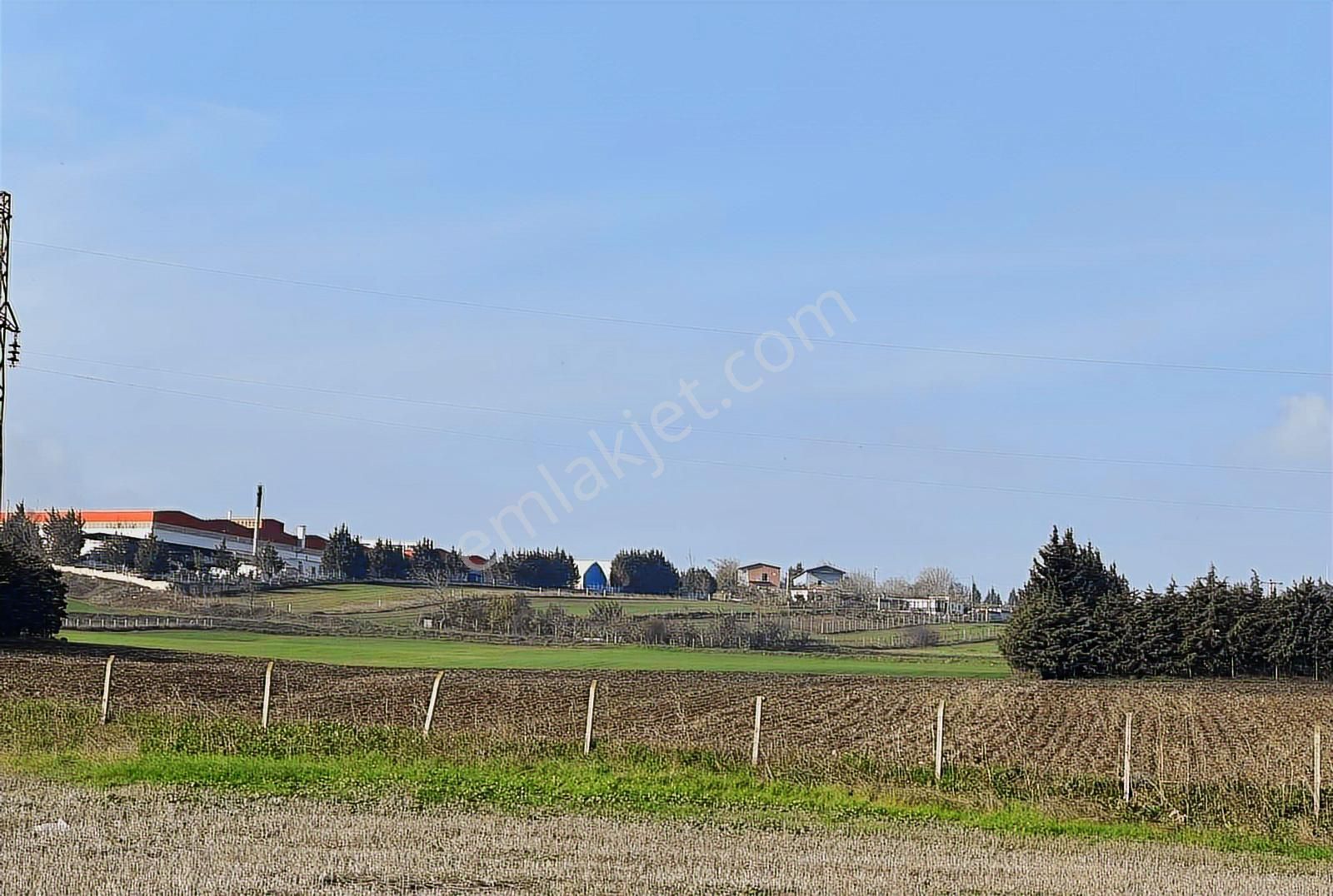 Akyol Gayrimenkul'den Büyükkılıçlı Köyünde 1623 M2 Çaplı Arsa - Görsel 2