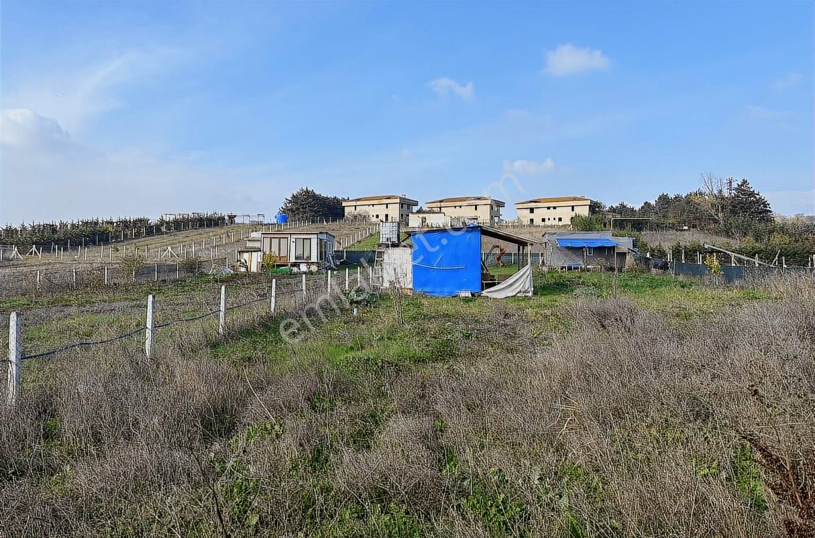 Akyol Gayrimenkul'den Büyükkılıçlı Köyünde 1623 M2 Çaplı Arsa - Görsel 18