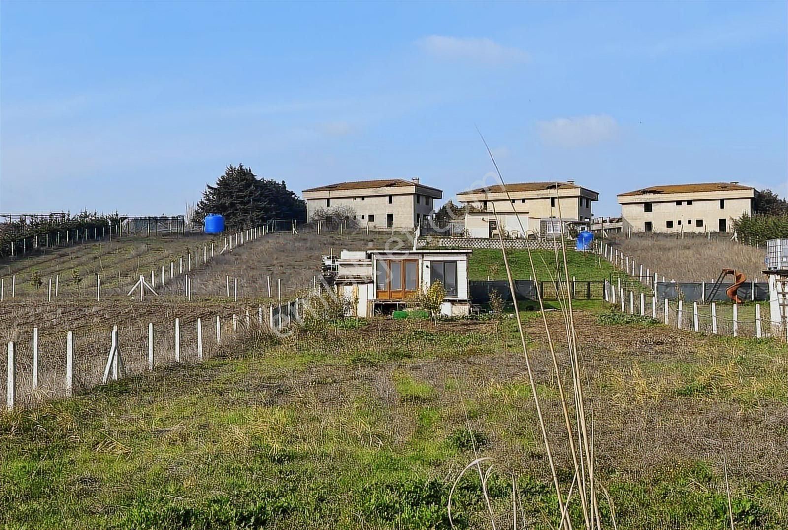 Akyol Gayrimenkul'den Büyükkılıçlı Köyünde 1623 M2 Çaplı Arsa - Görsel 26