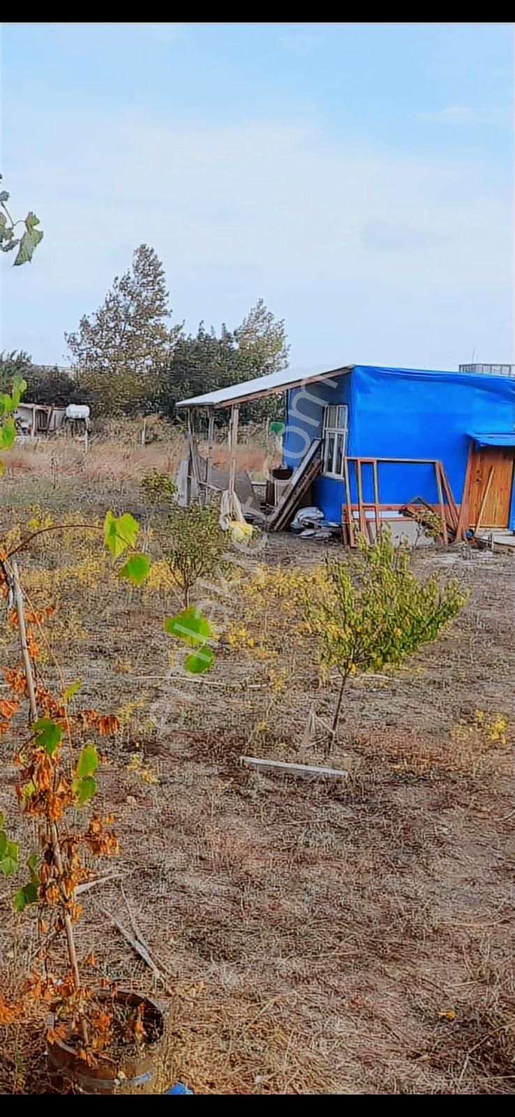 Akyol Gayrimenkul'den Büyükkılıçlı Köyünde 1623 M2 Çaplı Arsa - Görsel 8