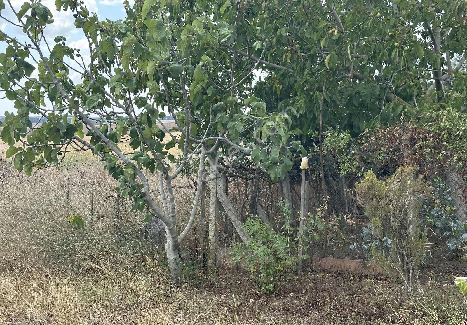 Akyol Gayrimenkul'den Gümüşyaka'da 1832 M2 Satılık İmarlı Arsa - Görsel 8