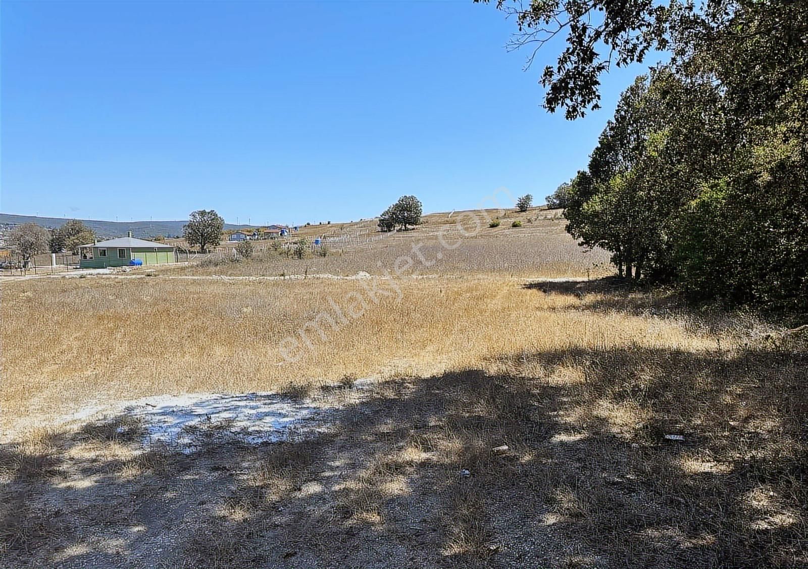 Çatalca Binkılıçta Çap Ve Muvafakatnameli 2267 M2 Arsa - Görsel 15