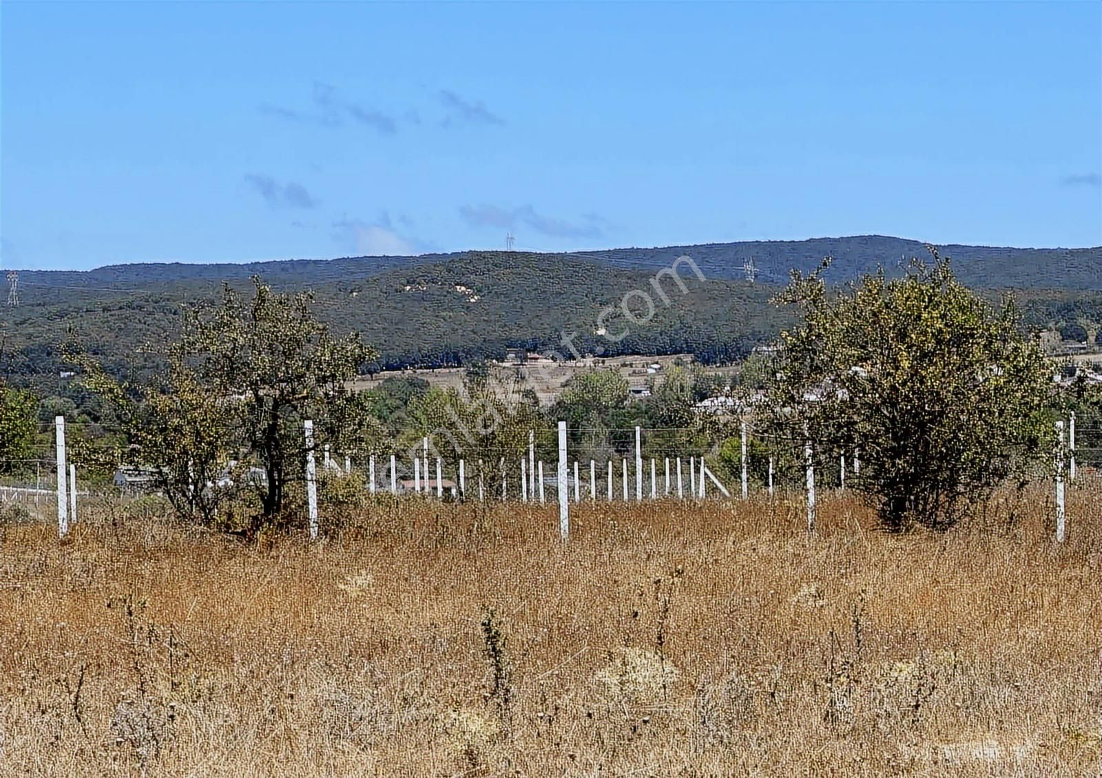 Çatalca Binkılıçta Çap Ve Muvafakatnameli 2267 M2 Arsa - Görsel 34
