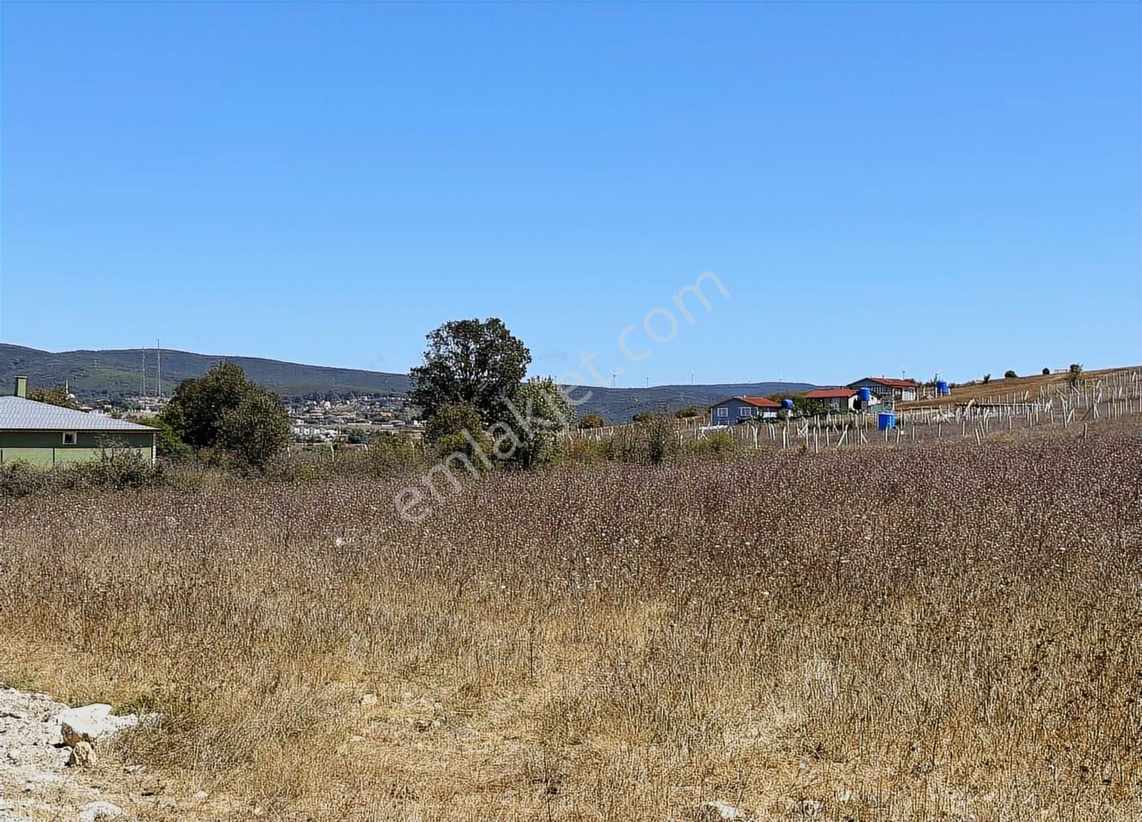 Çatalca Binkılıçta Çap Ve Muvafakatnameli 2267 M2 Arsa - Görsel 4