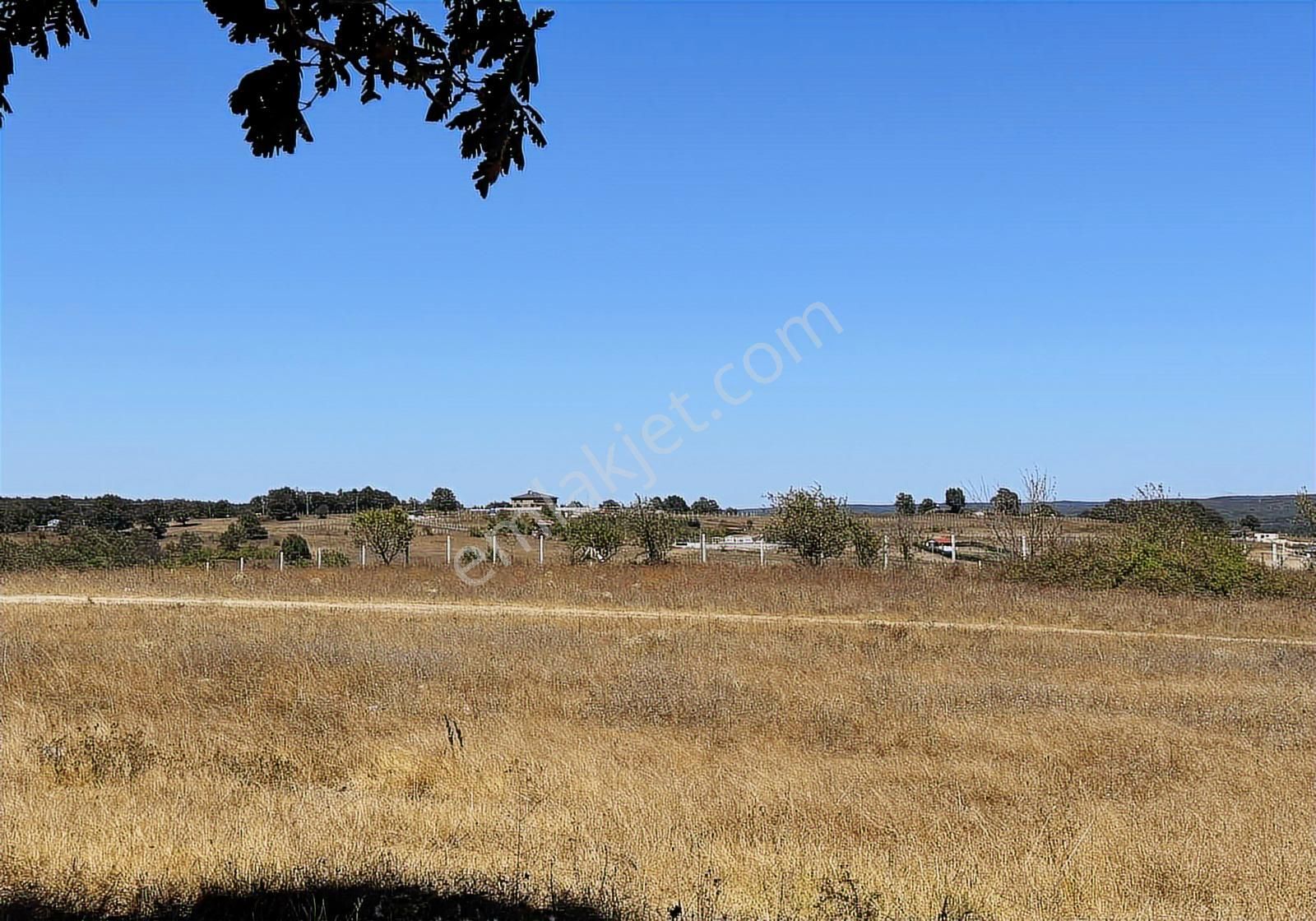 Çatalca Binkılıçta Çap Ve Muvafakatnameli 2267 M2 Arsa - Görsel 13