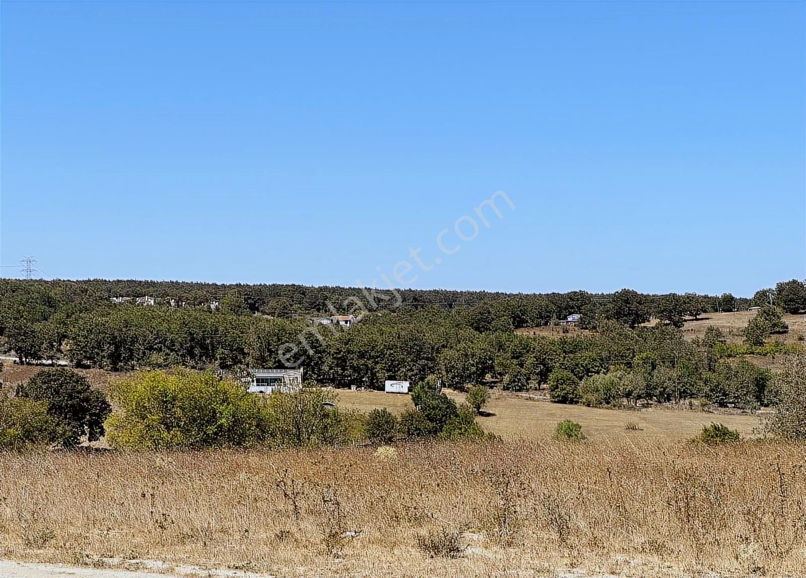 Çatalca Binkılıçta Çap Ve Muvafakatnameli 2267 M2 Arsa - Görsel 20