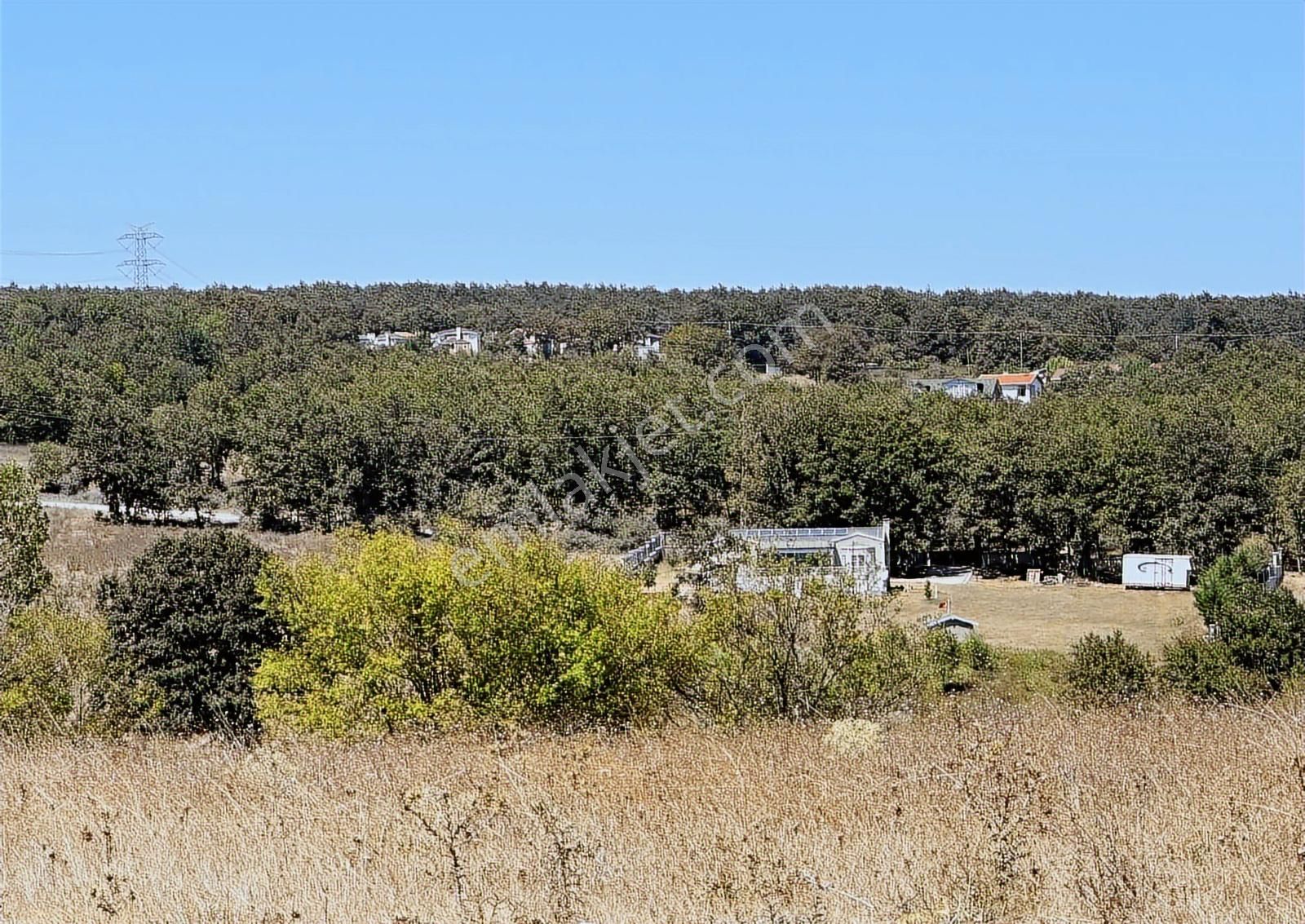 Çatalca Binkılıçta Çap Ve Muvafakatnameli 2267 M2 Arsa - Görsel 11