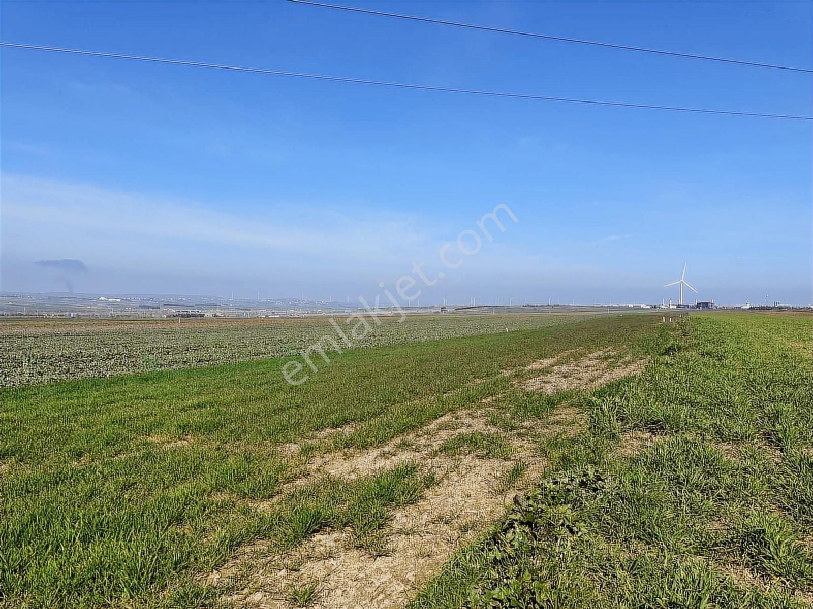 Akyol Gayrimenkul'den Alıpaşa Da Tek Tapu Yola Cephe 3400 M2 - Görsel 15