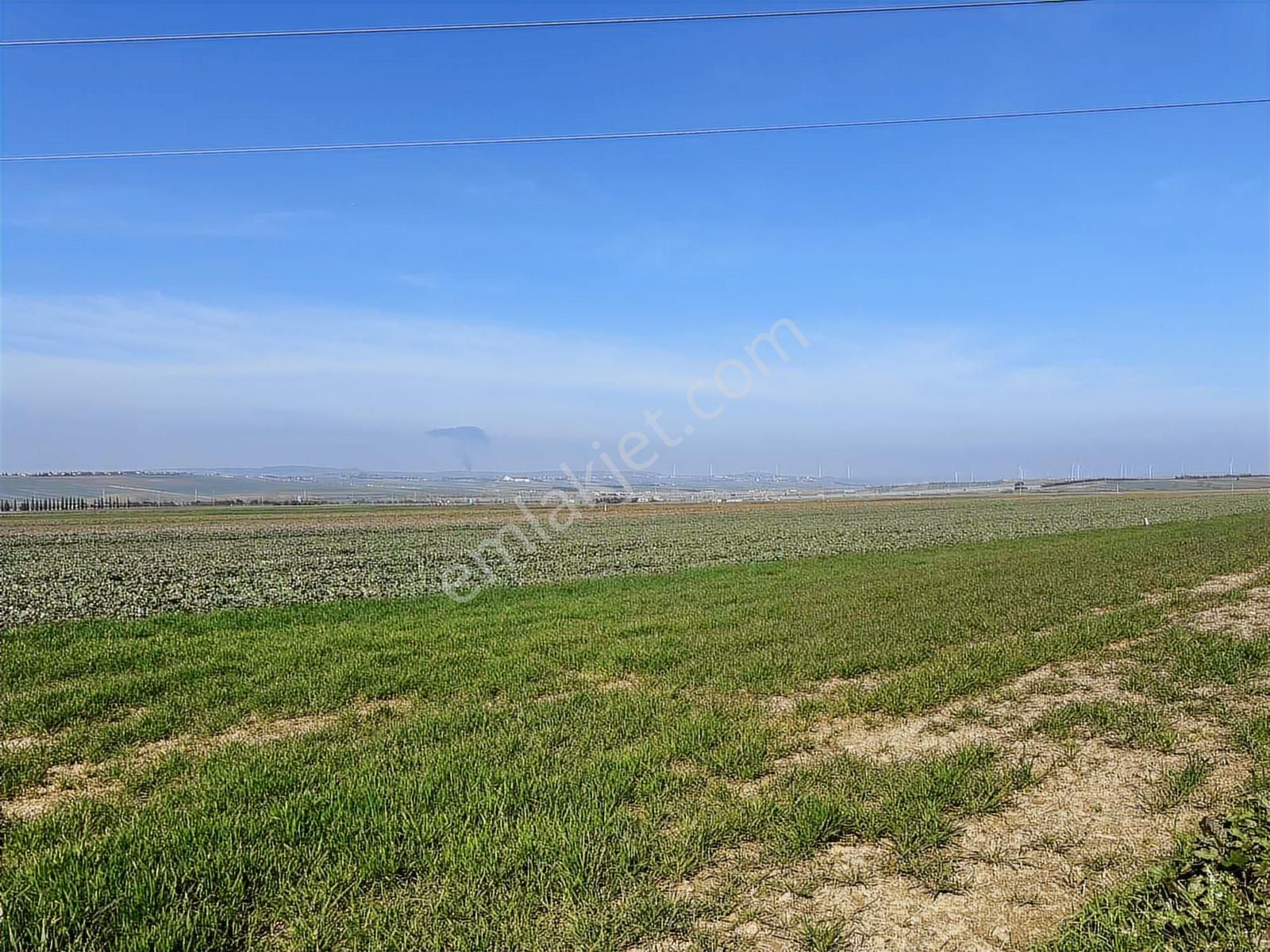 Akyol Gayrimenkul'den Alıpaşa Da Tek Tapu Yola Cephe 3400 M2 - Görsel 10