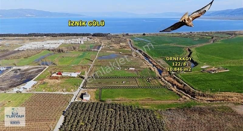 Turyap Aydemirden Orhangazi Örnekköyde 10.846 M2 Satılık Tarla