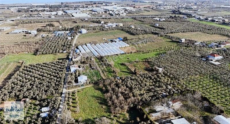 Turyap'tan Orhangazi Fatih'te 2382m2 Yolu Olan Arazi - Görsel 3