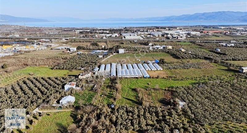 Turyap'tan Orhangazi Fatih'te 2382m2 Yolu Olan Arazi - Görsel 18