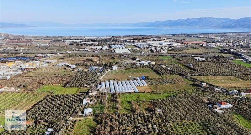 Turyap'tan Orhangazi Fatih'te 2382m2 Yolu Olan Arazi