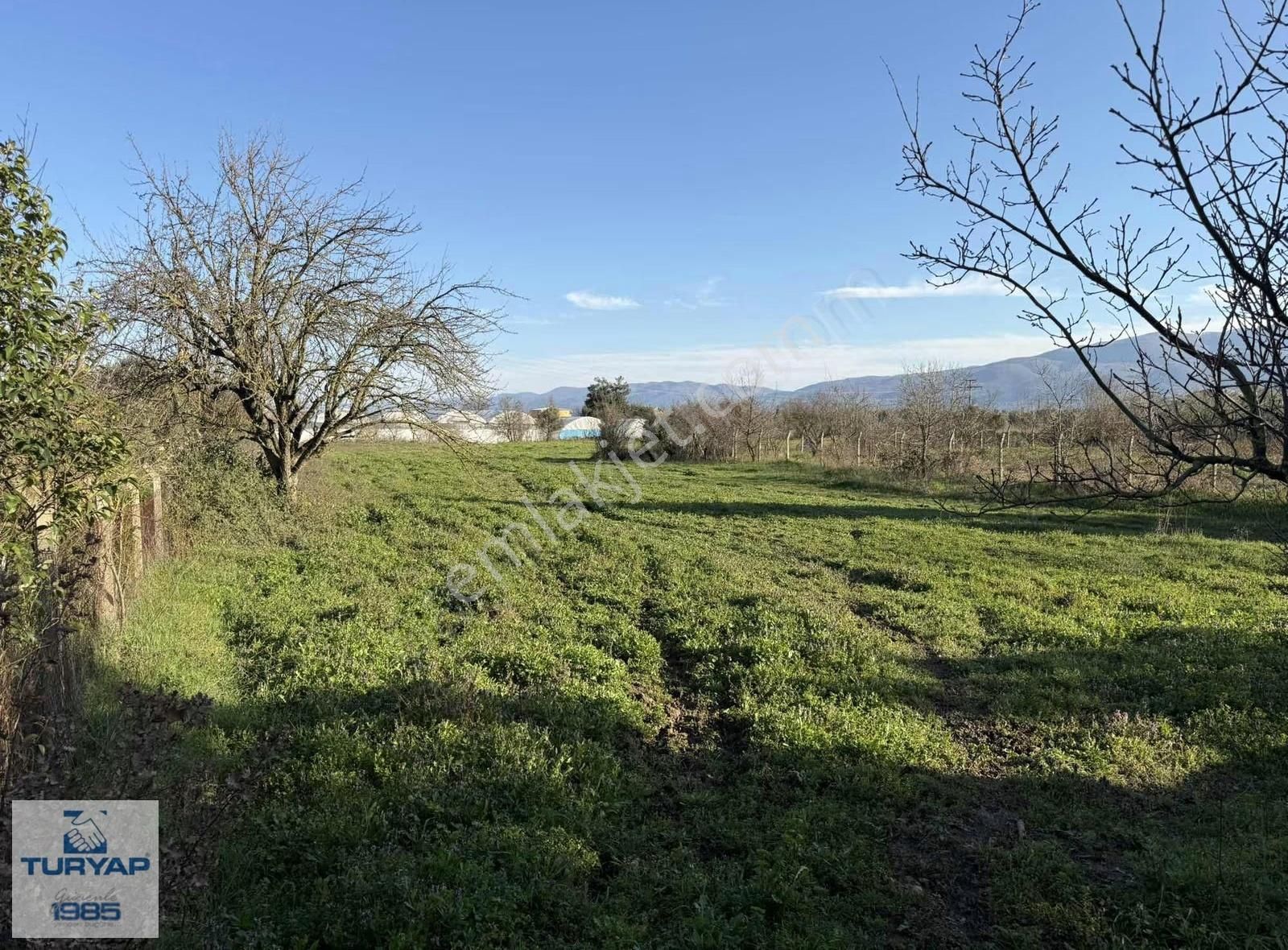 Turyap'tan Orhangazi Fatih'te 2382m2 Yolu Olan Arazi - Görsel 9