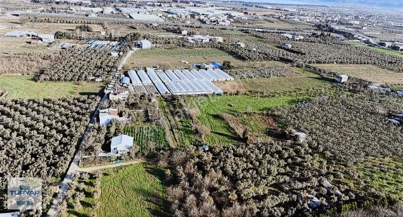 Turyap'tan Orhangazi Fatih'te 2382m2 Yolu Olan Arazi - Görsel 2