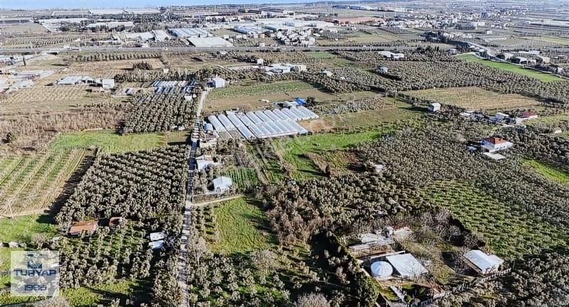 Turyap'tan Orhangazi Fatih'te 2382m2 Yolu Olan Arazi - Görsel 6