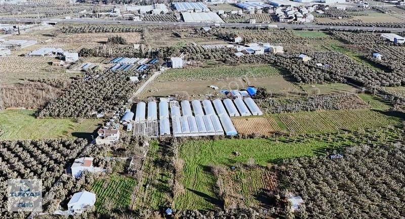 Turyap'tan Orhangazi Fatih'te 2382m2 Yolu Olan Arazi - Görsel 15