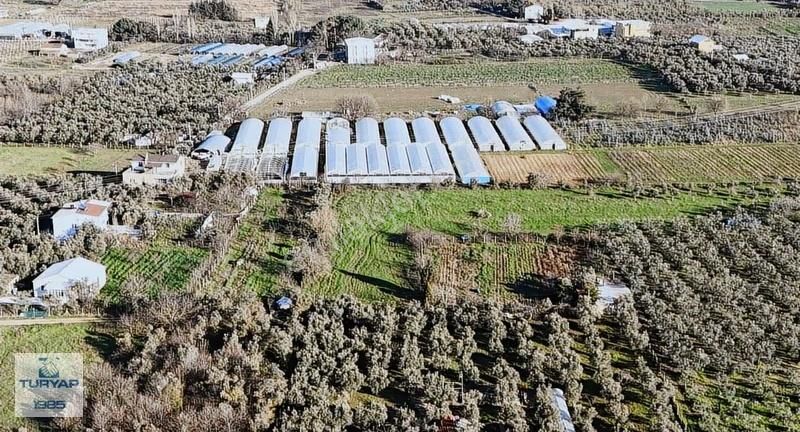 Turyap'tan Orhangazi Fatih'te 2382m2 Yolu Olan Arazi - Görsel 17