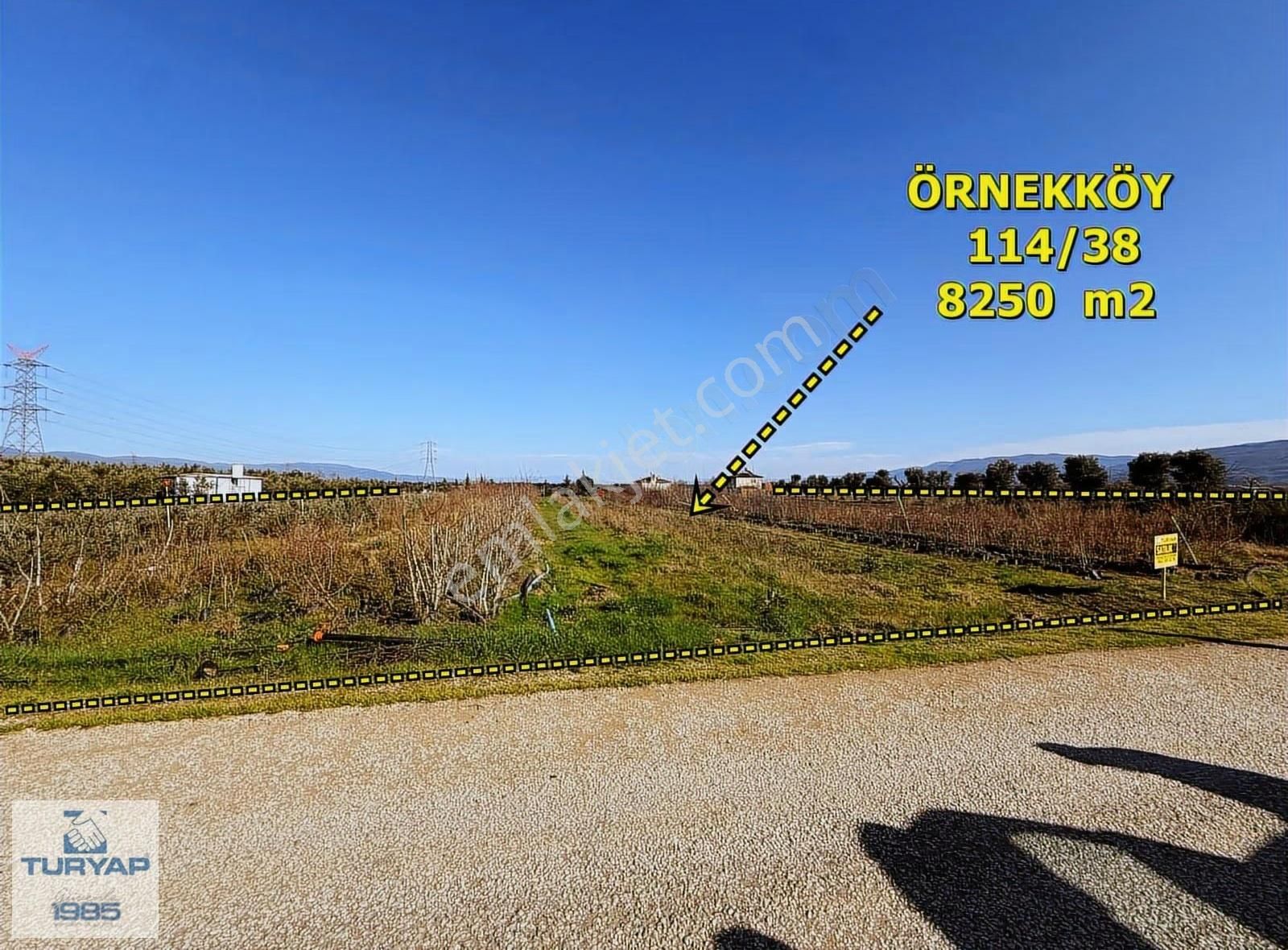 Yalova Turyaptan İznik Gölüne Yakın Yatırımlık Tarla - Görsel 8