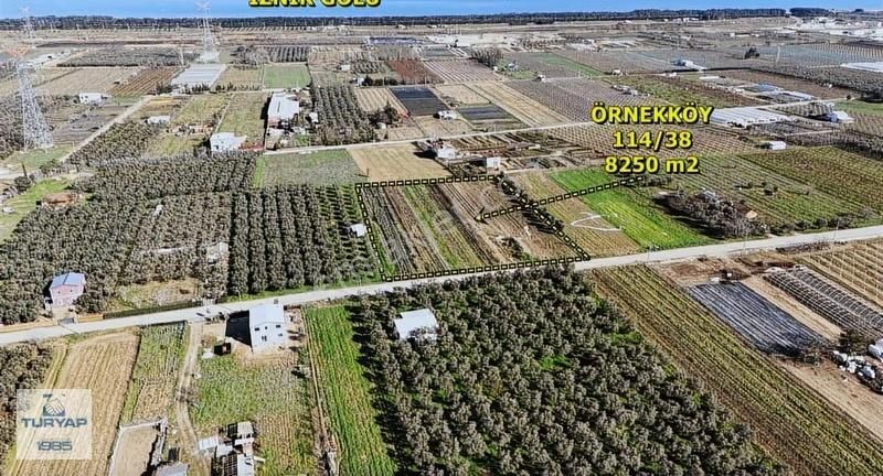 Yalova Turyaptan İznik Gölüne Yakın Yatırımlık Tarla - Görsel 15