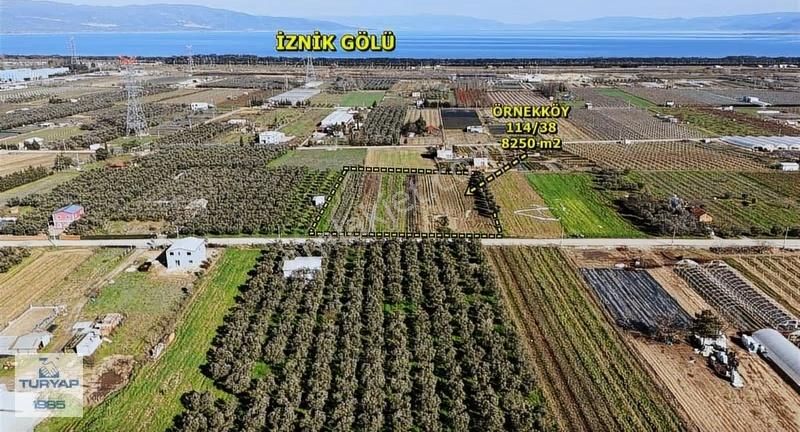 Yalova Turyaptan İznik Gölüne Yakın Yatırımlık Tarla - Görsel 7