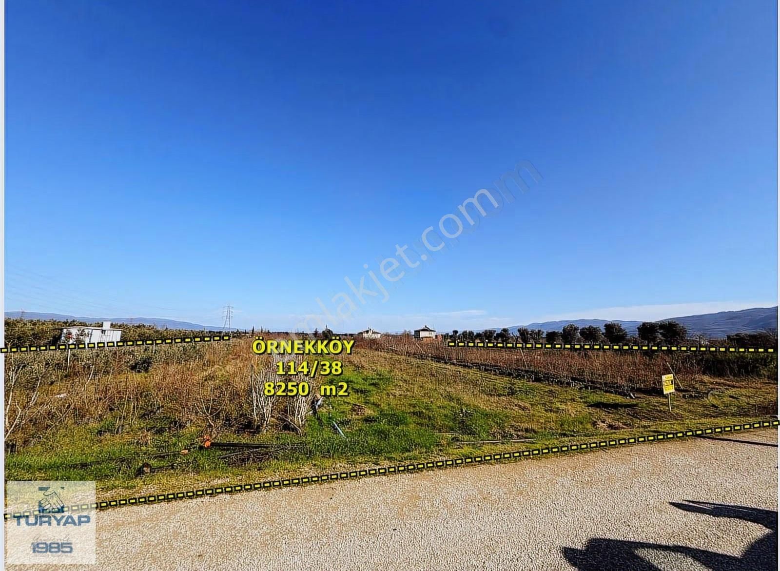 Yalova Turyaptan İznik Gölüne Yakın Yatırımlık Tarla - Görsel 12