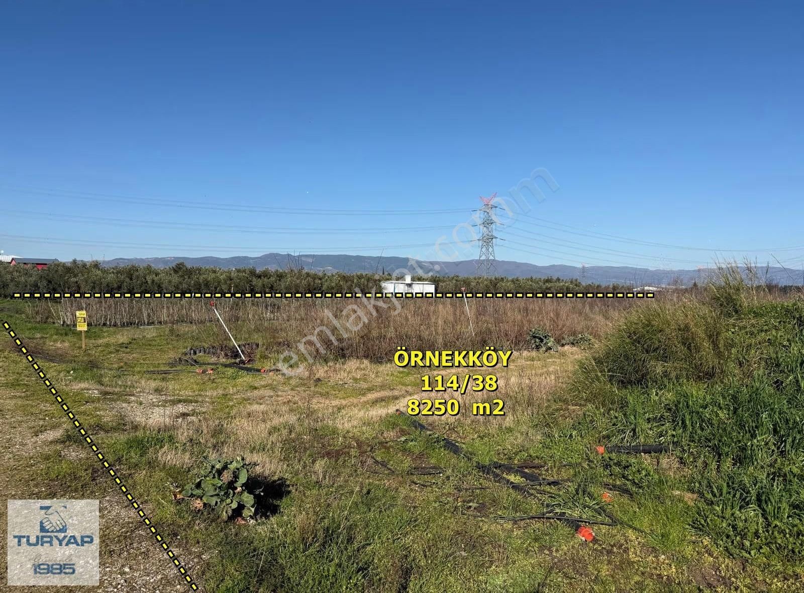 Yalova Turyaptan İznik Gölüne Yakın Yatırımlık Tarla - Görsel 9