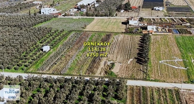 Yalova Turyaptan İznik Gölüne Yakın Yatırımlık Tarla - Görsel 6