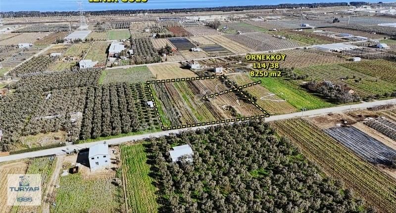 Yalova Turyaptan İznik Gölüne Yakın Yatırımlık Tarla - Görsel 4