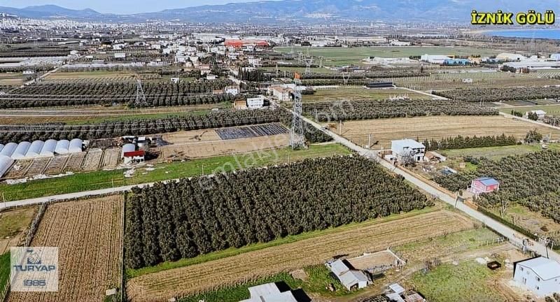 Yalova Turyaptan İznik Gölüne Yakın Yatırımlık Tarla - Görsel 14