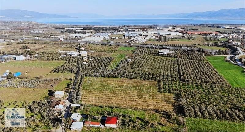 Turyap'tan Orhangazi Fatih'te 13552 M2 Yolu Olan Tarla - Görsel 3