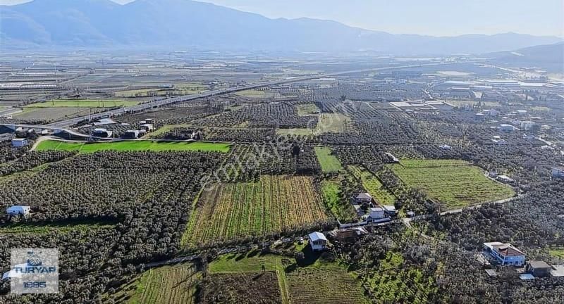 Turyap'tan Orhangazi Fatih'te 13552 M2 Yolu Olan Tarla - Görsel 9