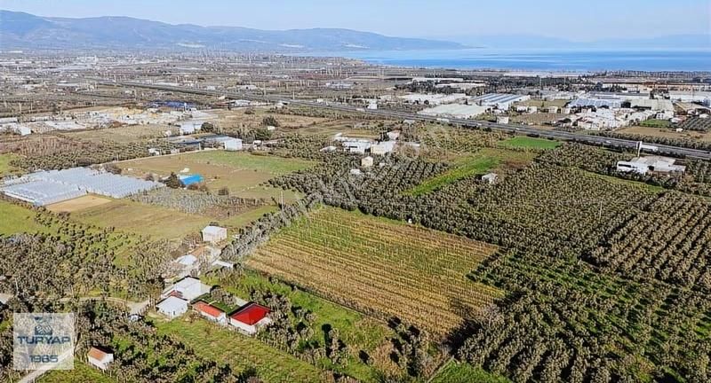 Turyap'tan Orhangazi Fatih'te 13552 M2 Yolu Olan Tarla - Görsel 10