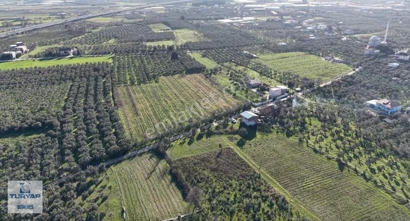 Turyap'tan Orhangazi Fatih'te 13552 M2 Yolu Olan Tarla - Görsel 4